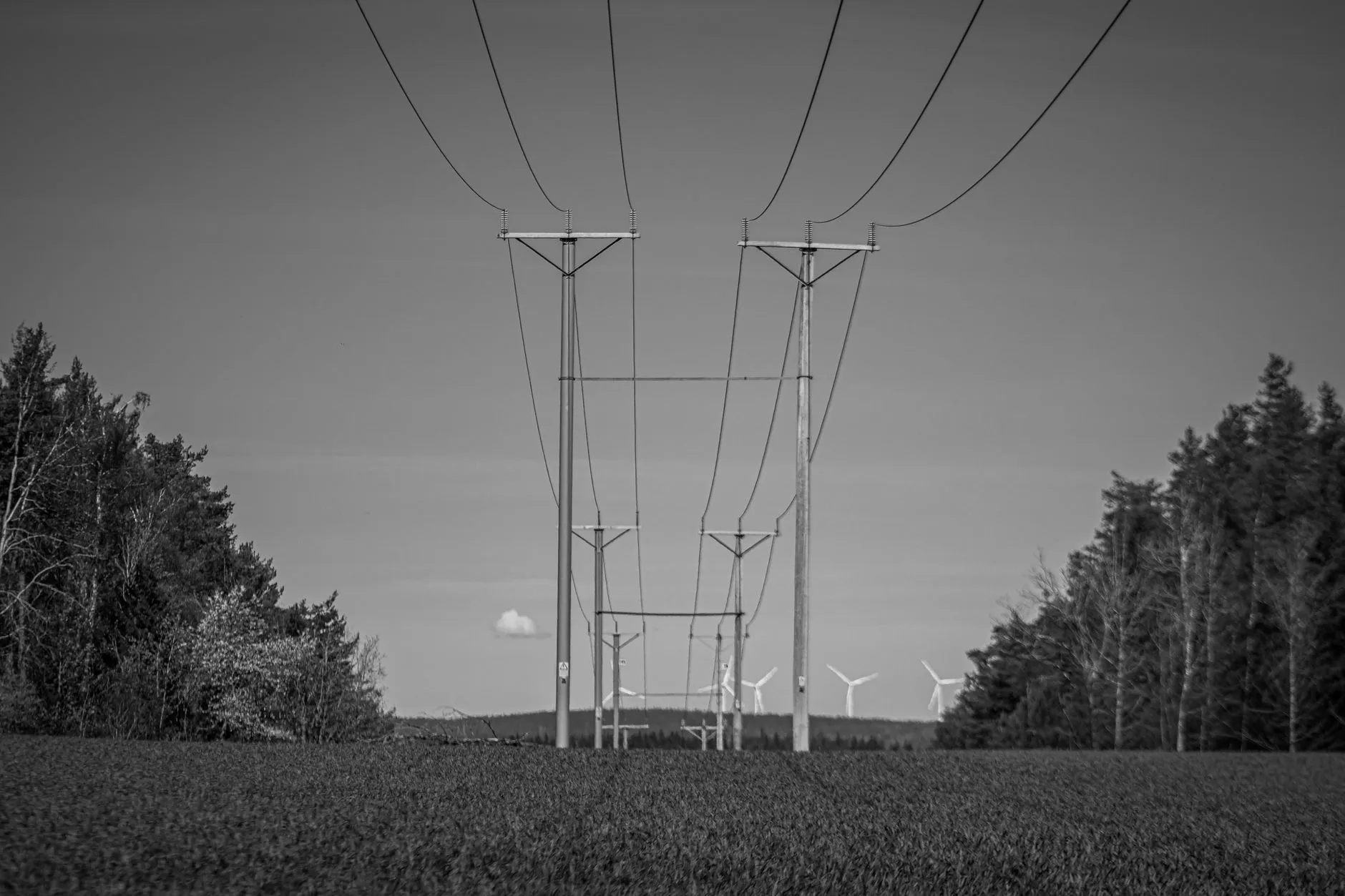 Linie elektroenergetyczne prowadzące przez pole z turbinami wiatrowymi w tle