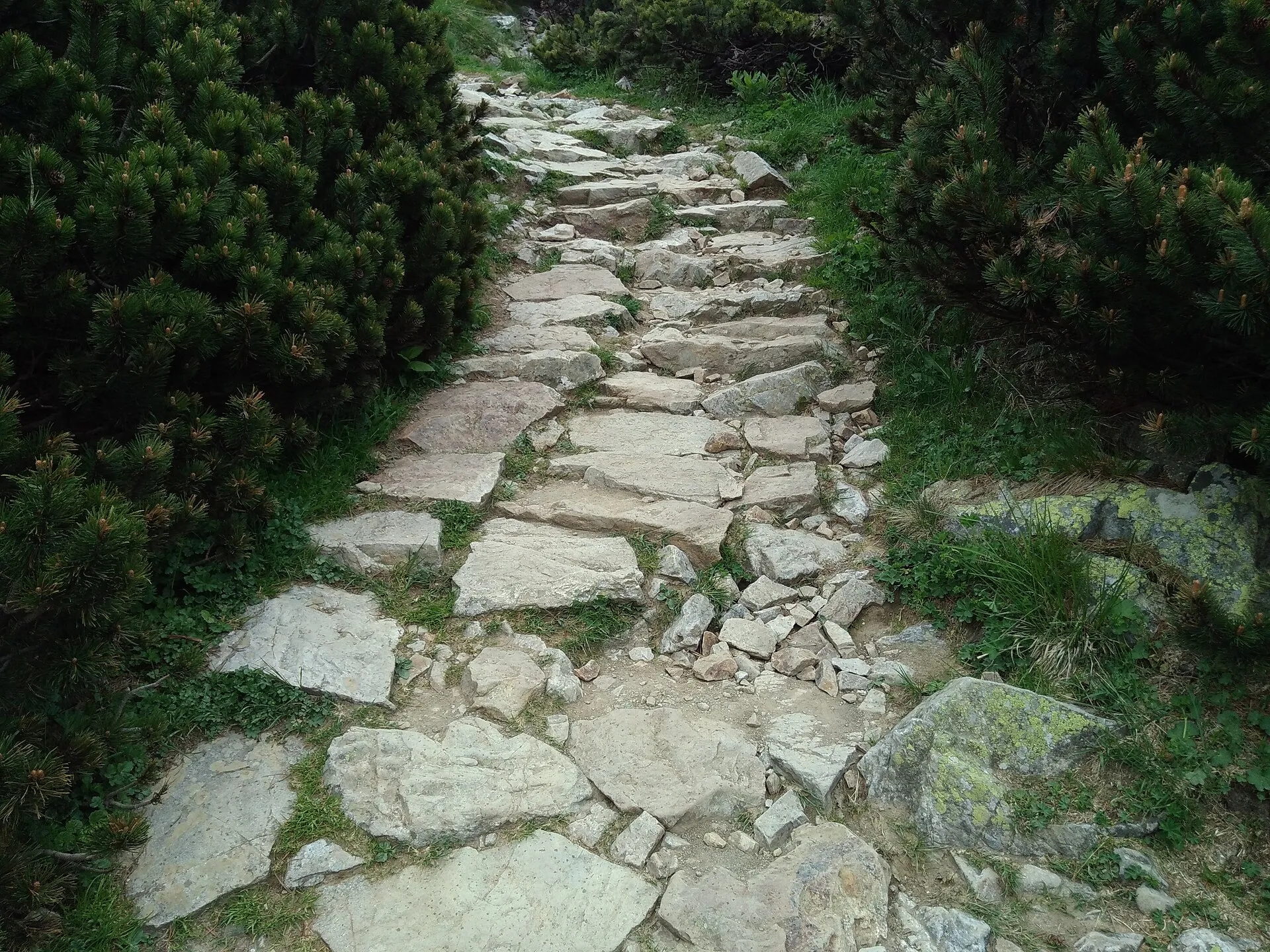 Kamienny szlak w Tatrach na trasie na Giewont w 2018 roku